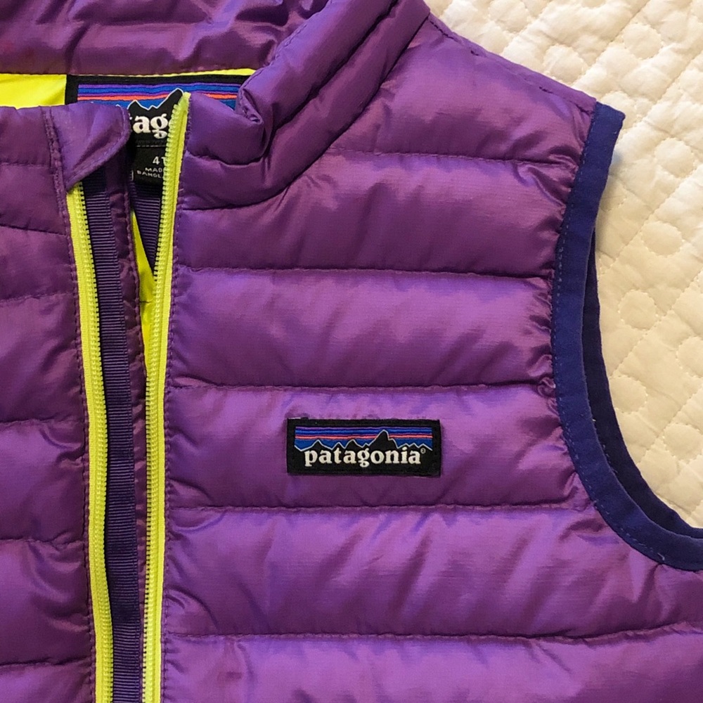 Patagonia Down Sweater Vest 4T